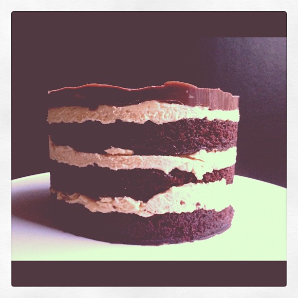Chocolate Peanut Butter Cake